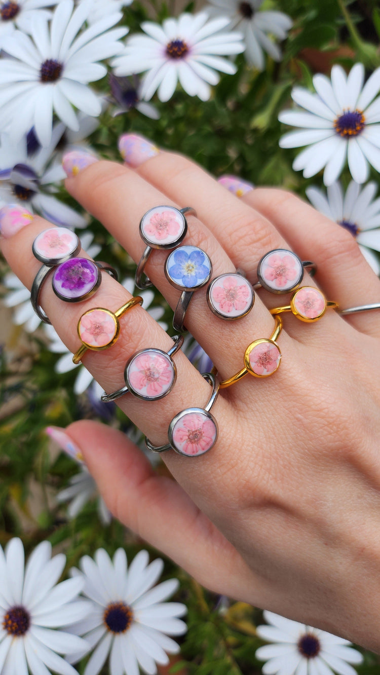 Collezione Flora