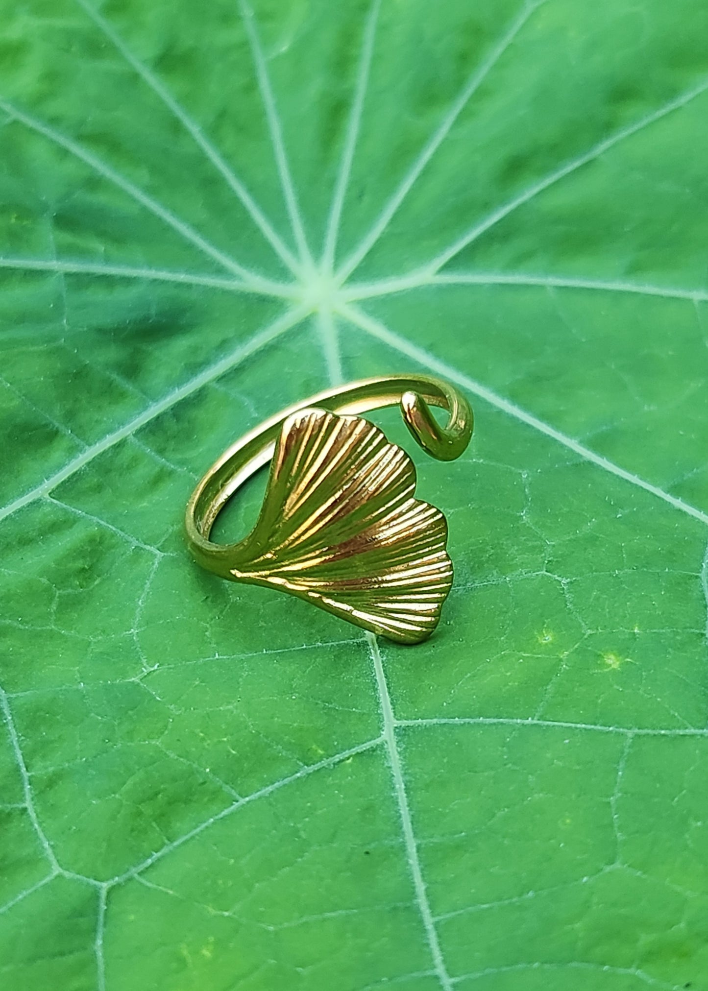 Anello Ginkgo
