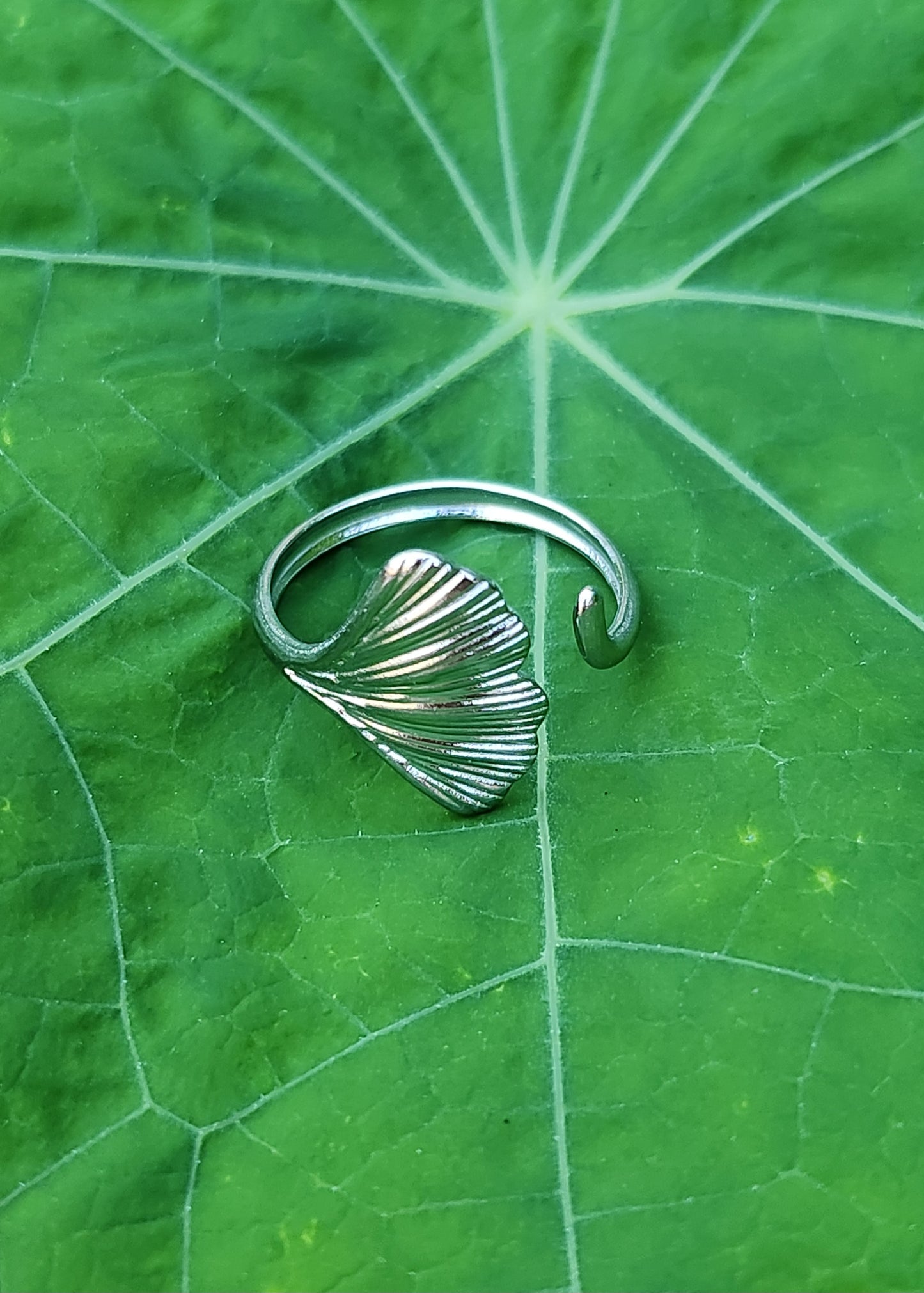 Anello Ginkgo